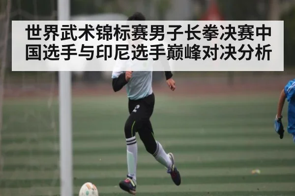 世界武术锦标赛男子长拳决赛中国选手与印尼选手巅峰对决分析